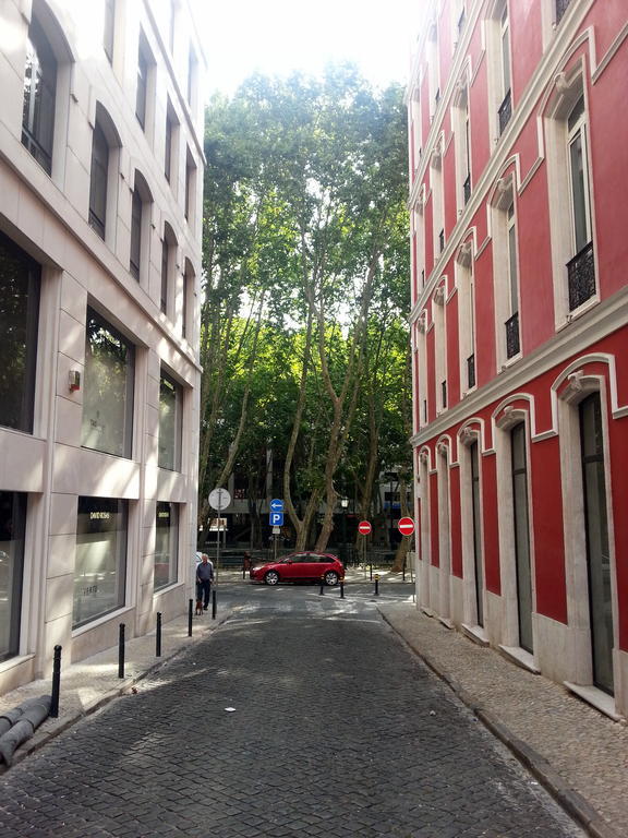Apartamento Center Baixa *
